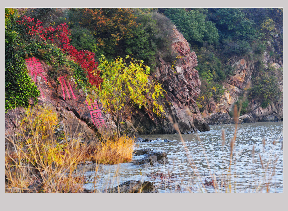 园博园秋色浓浓   钱伟章摄 (1).jpg
