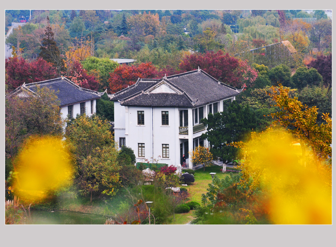 园博园秋色浓浓   钱伟章摄 (2).jpg