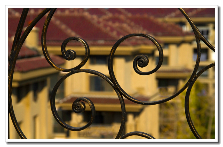 嘉苑表情 (1).jpg