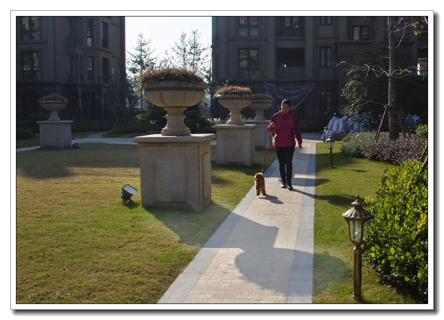 欢乐家园 (4).jpg