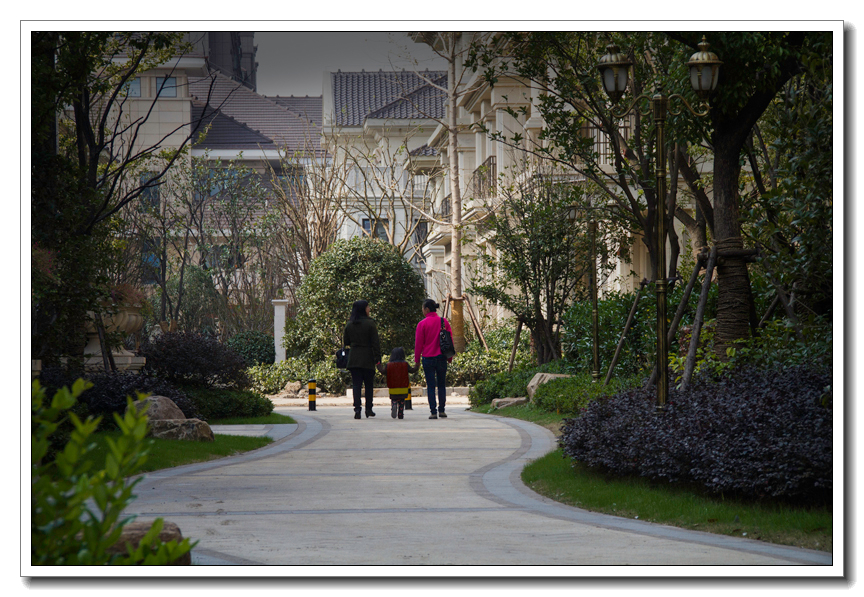 曲径通幽 (2).jpg