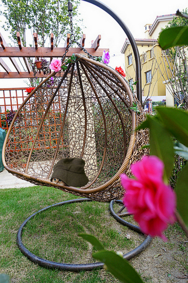 花园里休憩的猫咪 谁是真正的主人