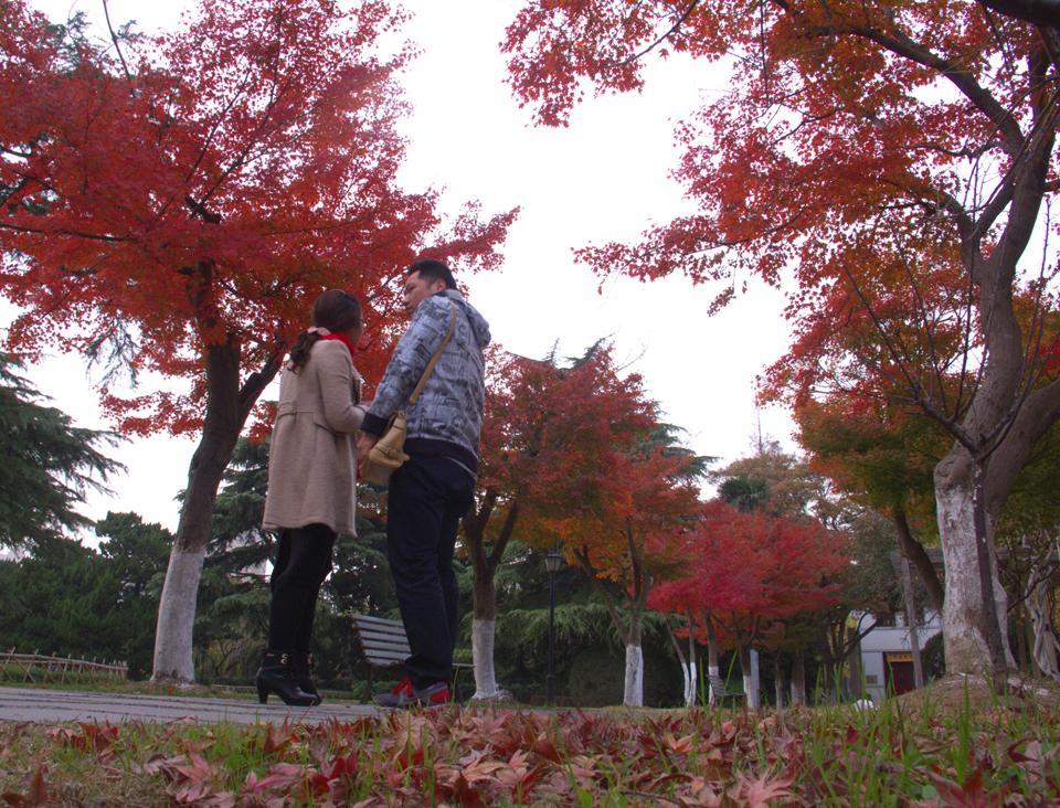 IMG_0156 (9)_看图王副本.jpg