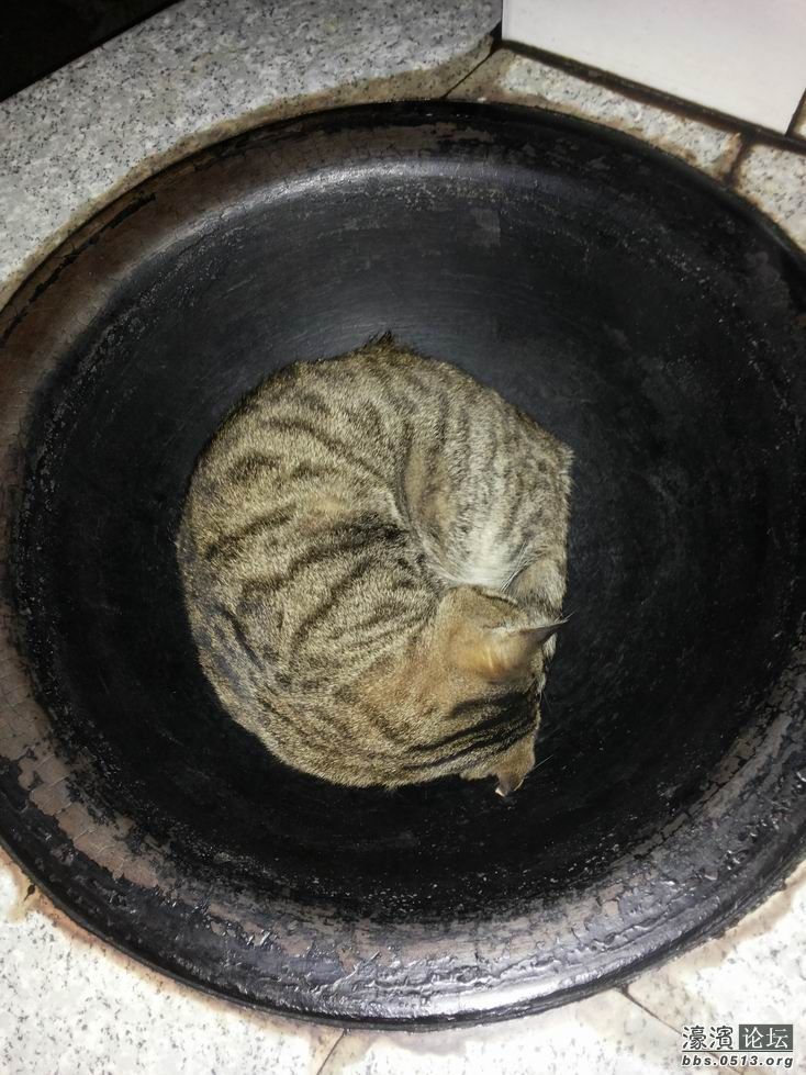 调整大小 旋转 20131202_210224.jpg