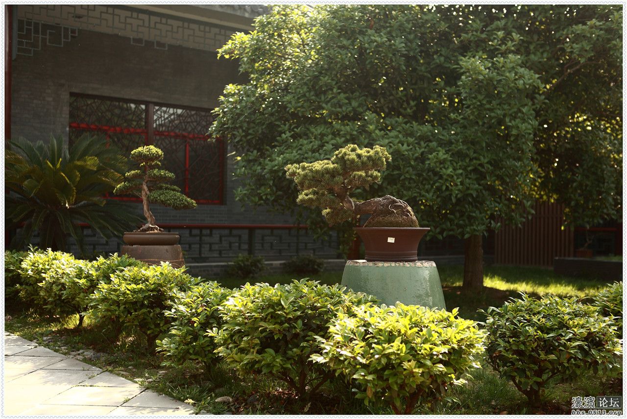 庭院景色10.jpg
