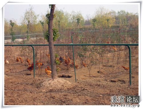 照片 054_副本.jpg