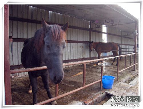 照片 055_副本.jpg