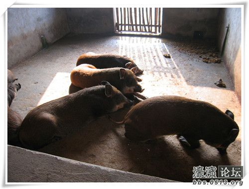 照片 056_副本.jpg