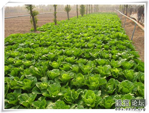 照片 058_副本.jpg