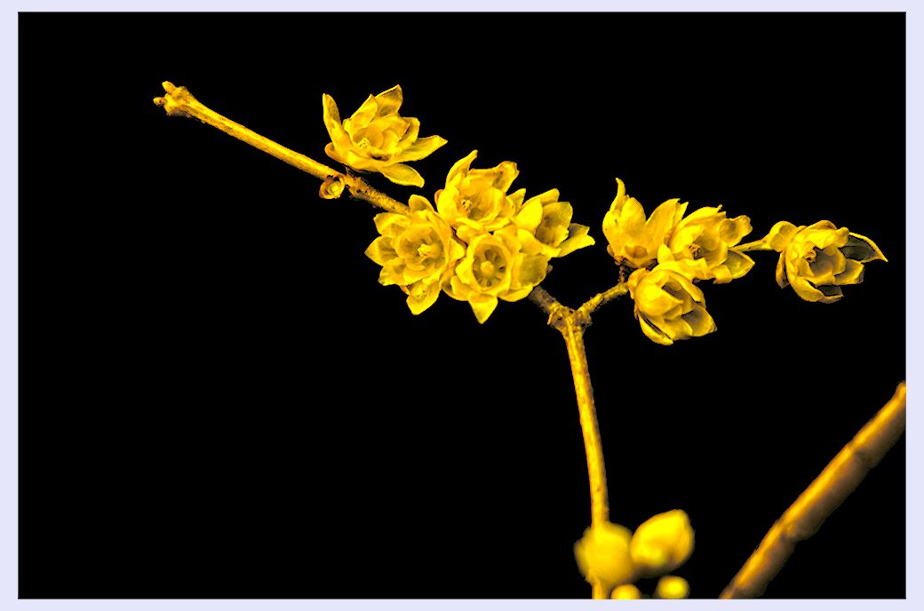 “_DSC0041”为智能对象-1 拷贝.jpg