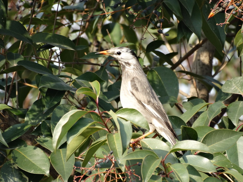 DSC00922_调整大小.JPG