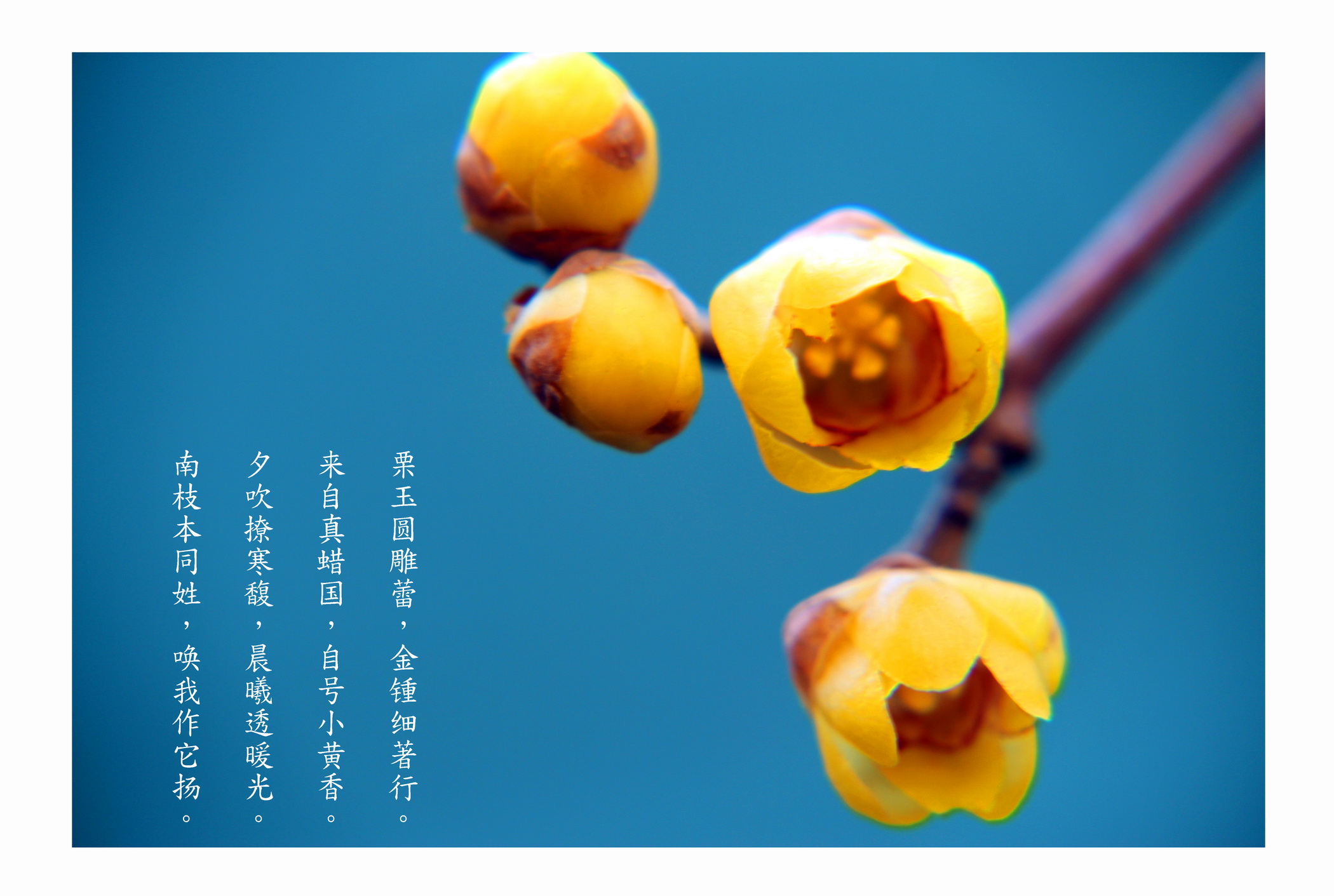 IMG_7496-1 (2)-1.jpg