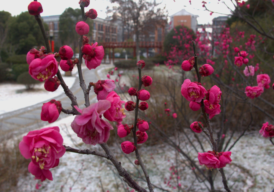 IMG_0963 (5)_看图王副本.jpg