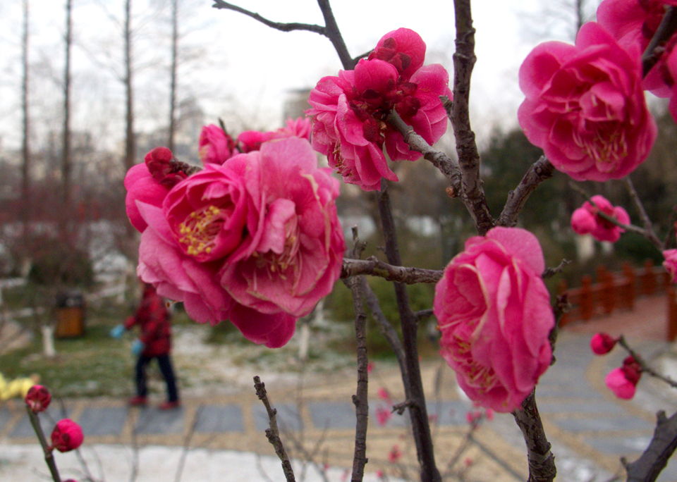 IMG_0965 (7)_看图王副本.jpg