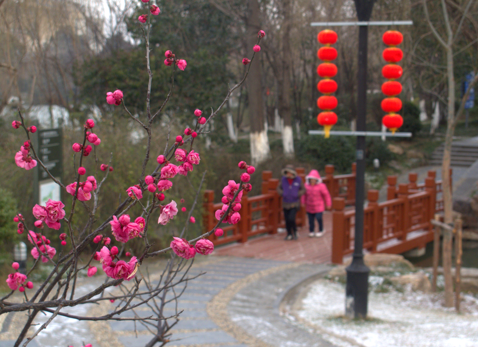 IMG_0968 (10)_看图王副本.jpg