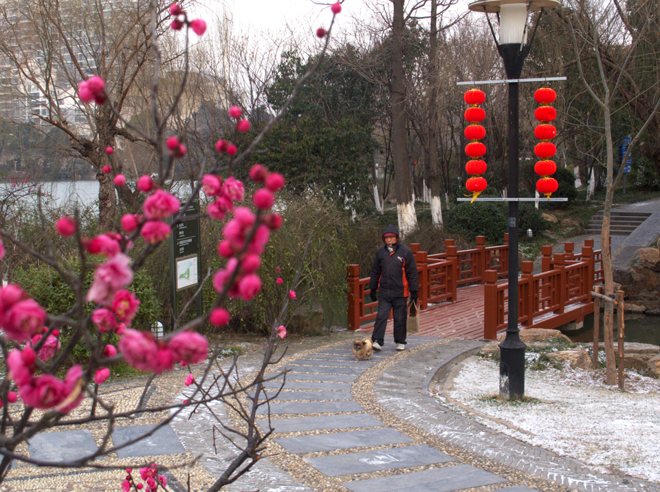 IMG_0969 (11)_看图王副本.jpg