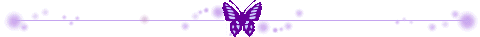 蝴蝶分割线.jpg