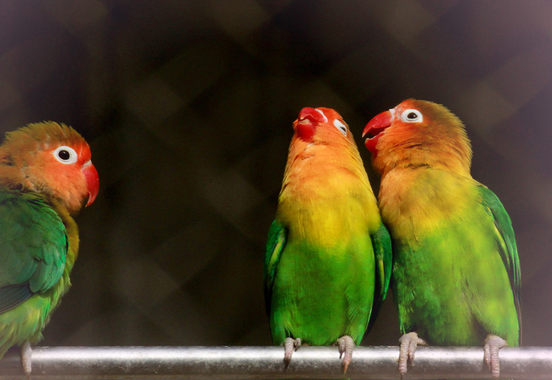 一样的情人节不一样的你 (6).jpg