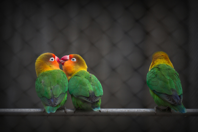 一样的情人节不一样的你 (8).jpg