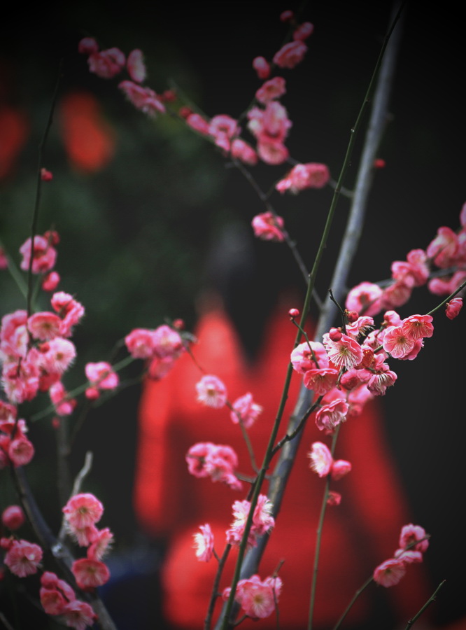 醉在花间 (8).jpg