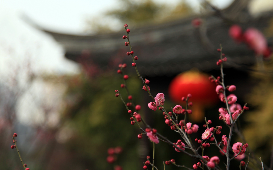 醉在花间 (9).jpg