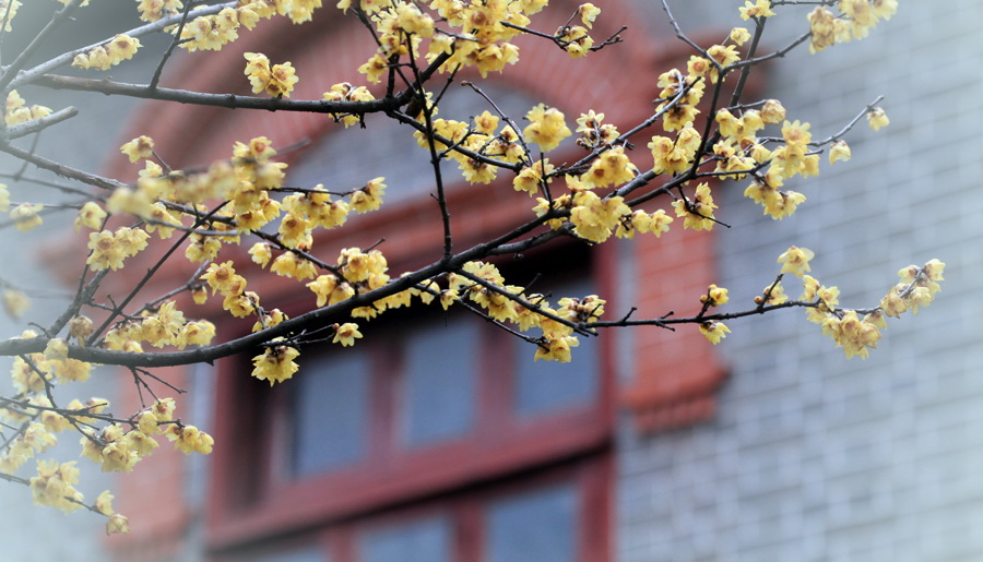 醉在花间 (12).jpg