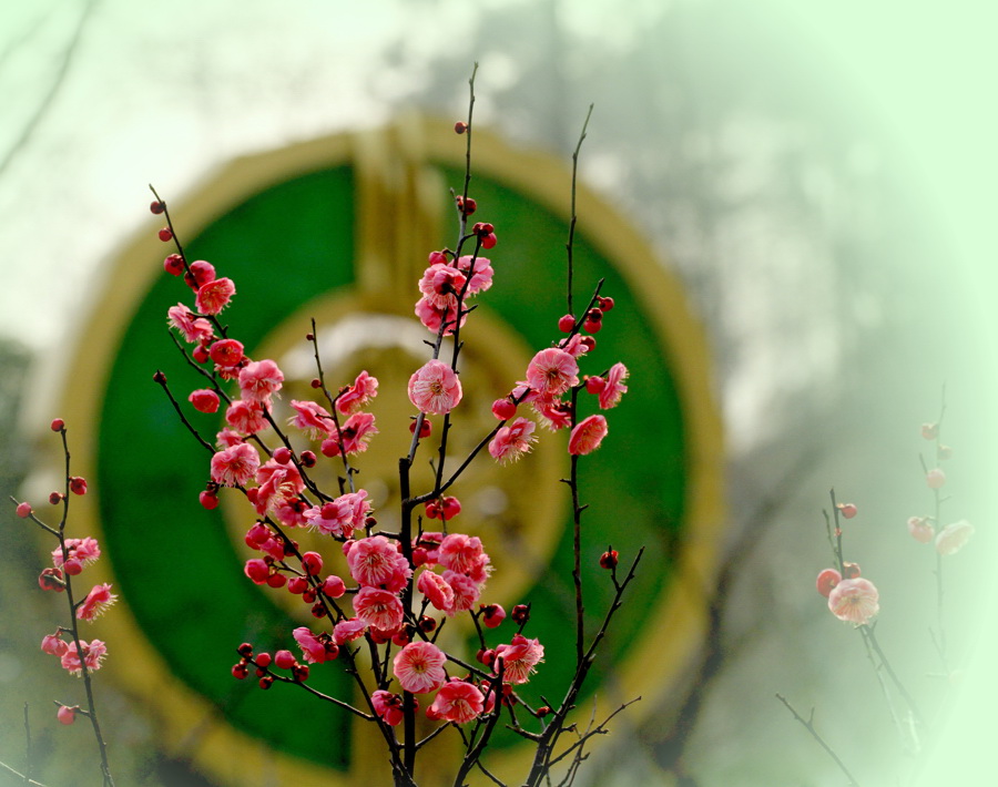 醉在花间 (15).jpg