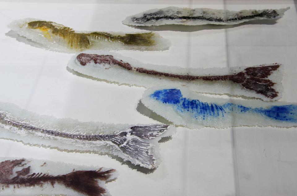 优秀奖勤罚懒《海 苍白》 作者 ：王朝红.jpg