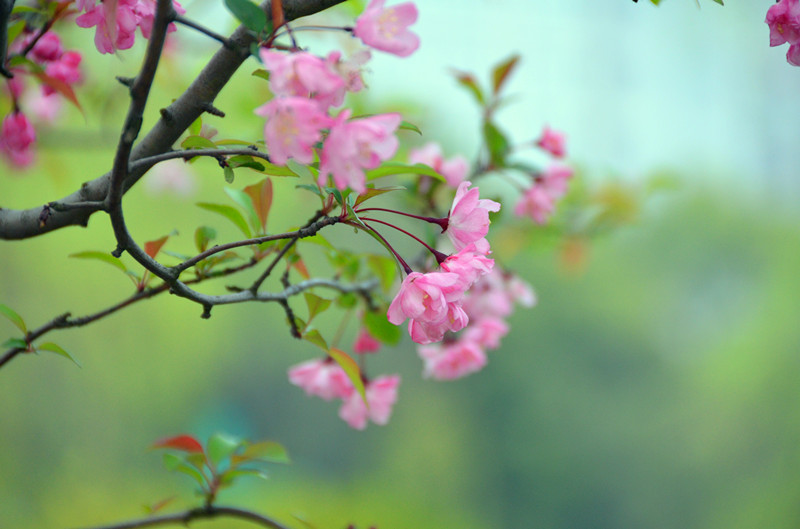 就是对焦点偏了