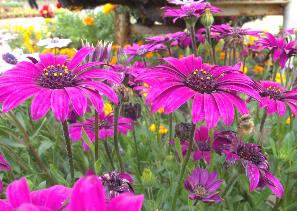 IMG_1732 (17)_看图王副本.jpg