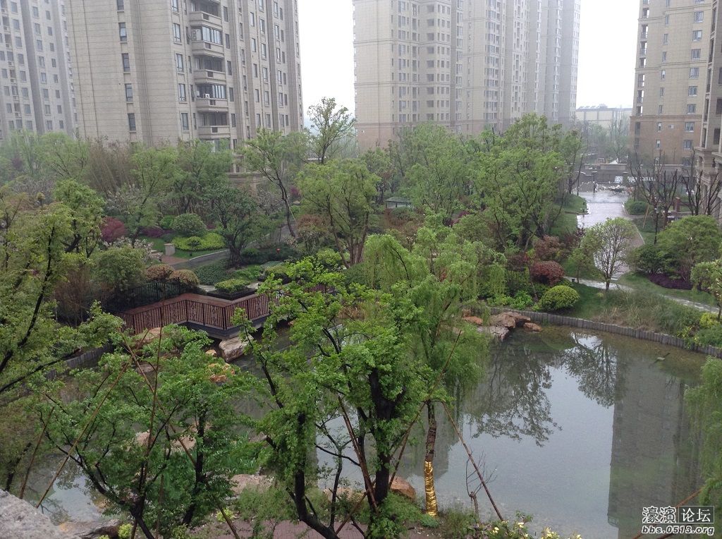 阳台上的风景，雨后树好绿啊