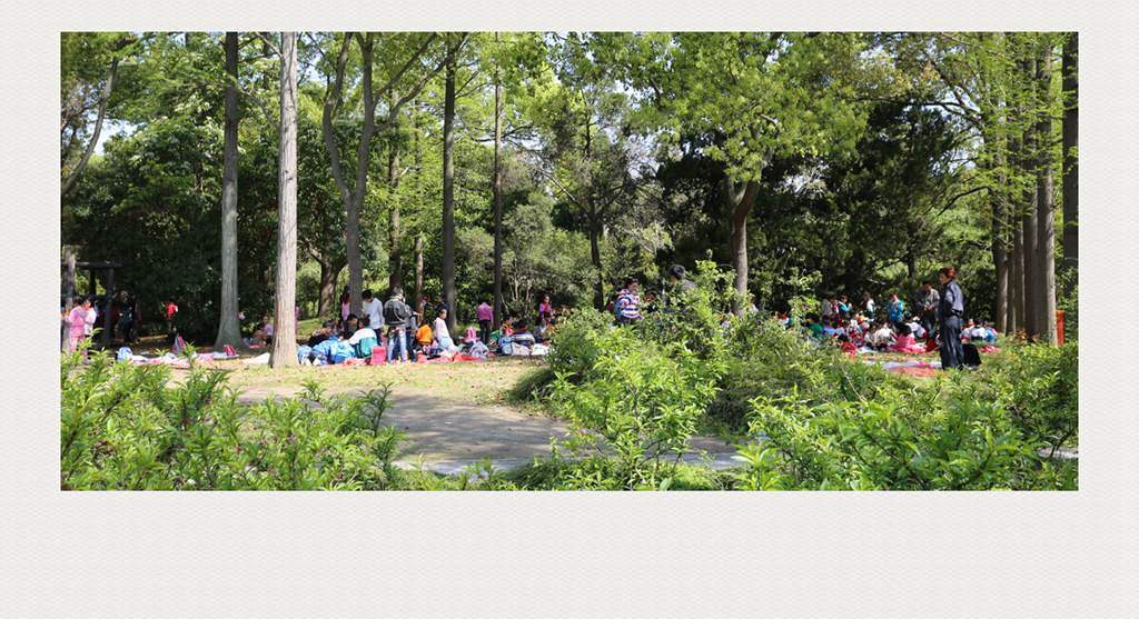 4F9A3956__ 1024_副本.jpg