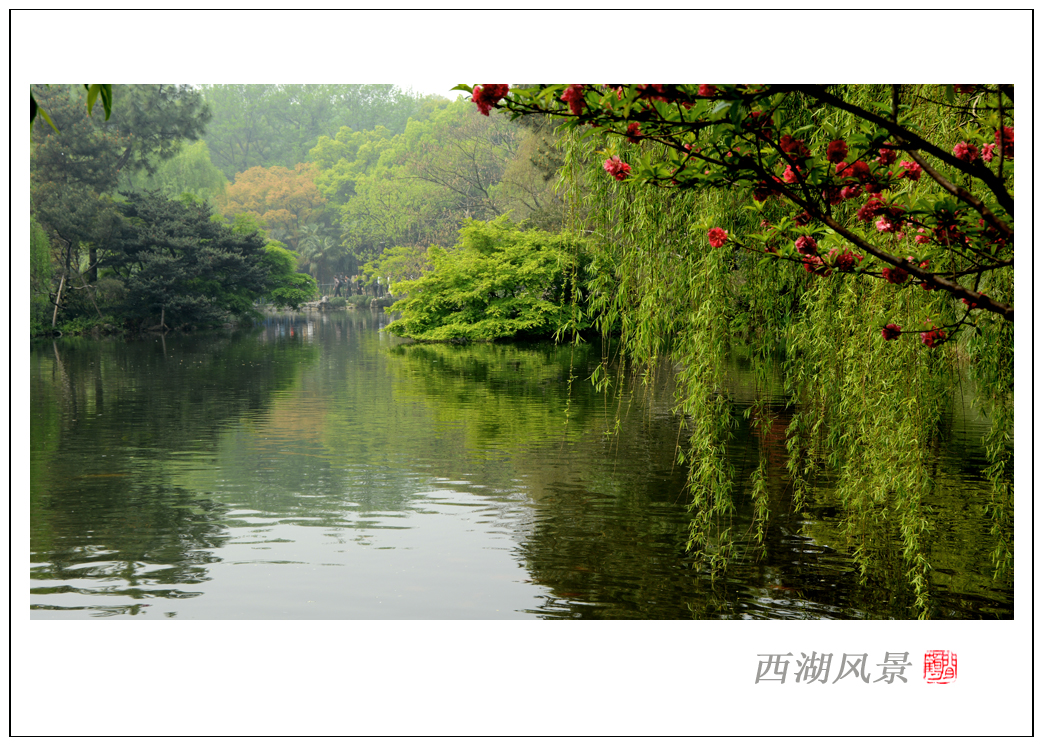西湖风景5.jpg