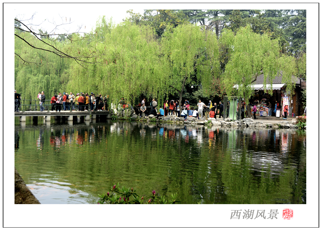 西湖风景6.jpg