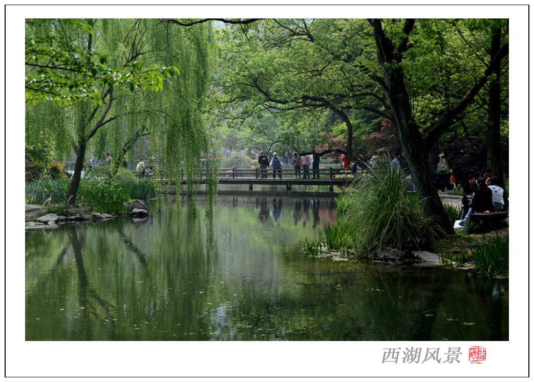 西湖风景7.jpg