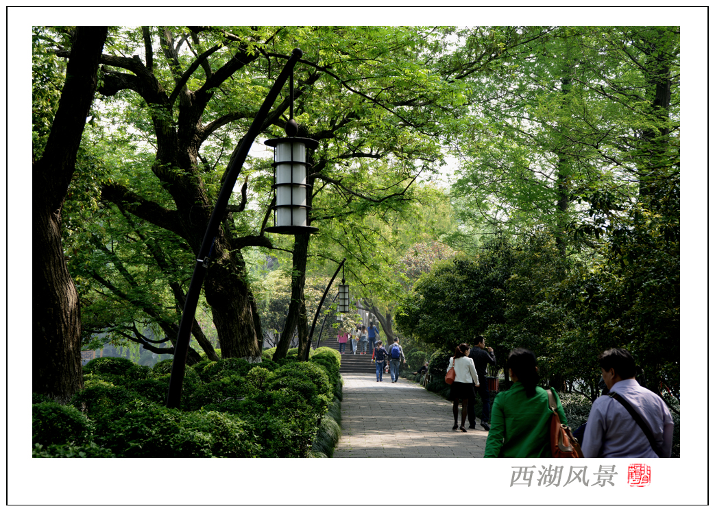 西湖风景11.jpg