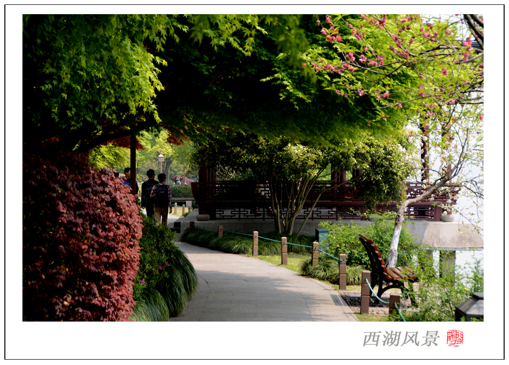 西湖风景12.jpg