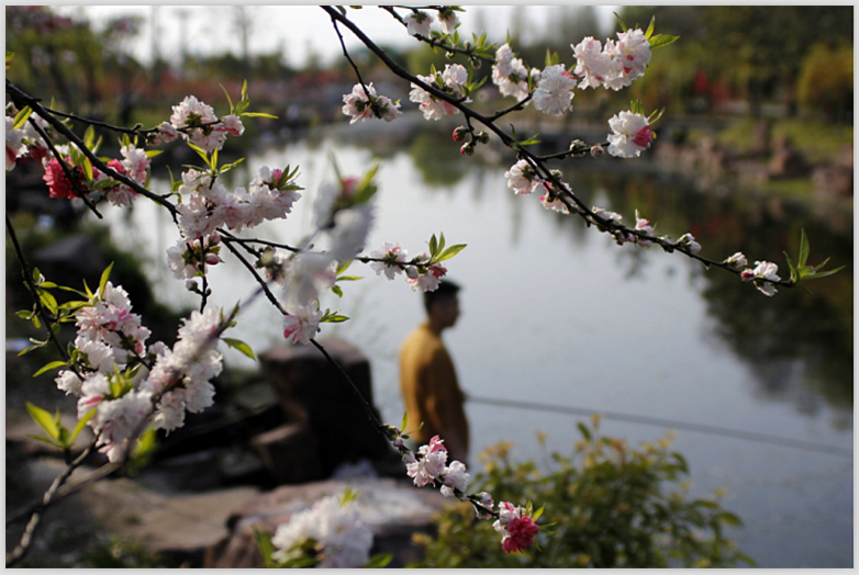 桃韵（摄自狼山）