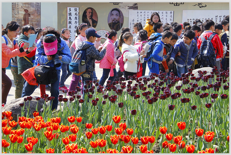 满园春色（摄自啬园）