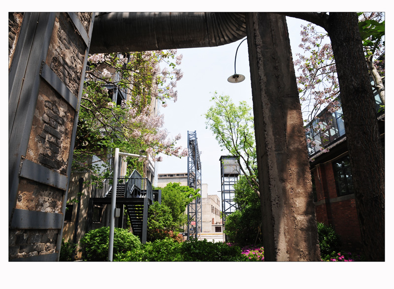 1DSC_5867副本 (6).jpg