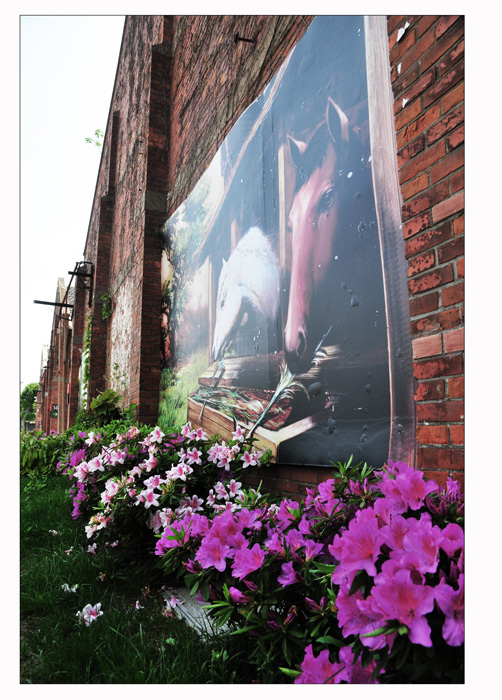 1DSC_5867副本 (11).jpg