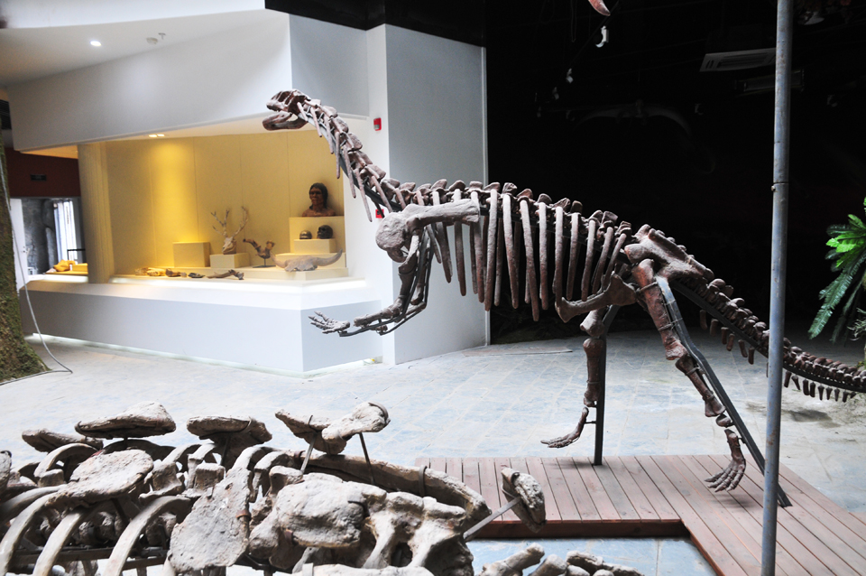 园博园内南通猛玛象娱乐城堡即将建成迎客 (4).jpg