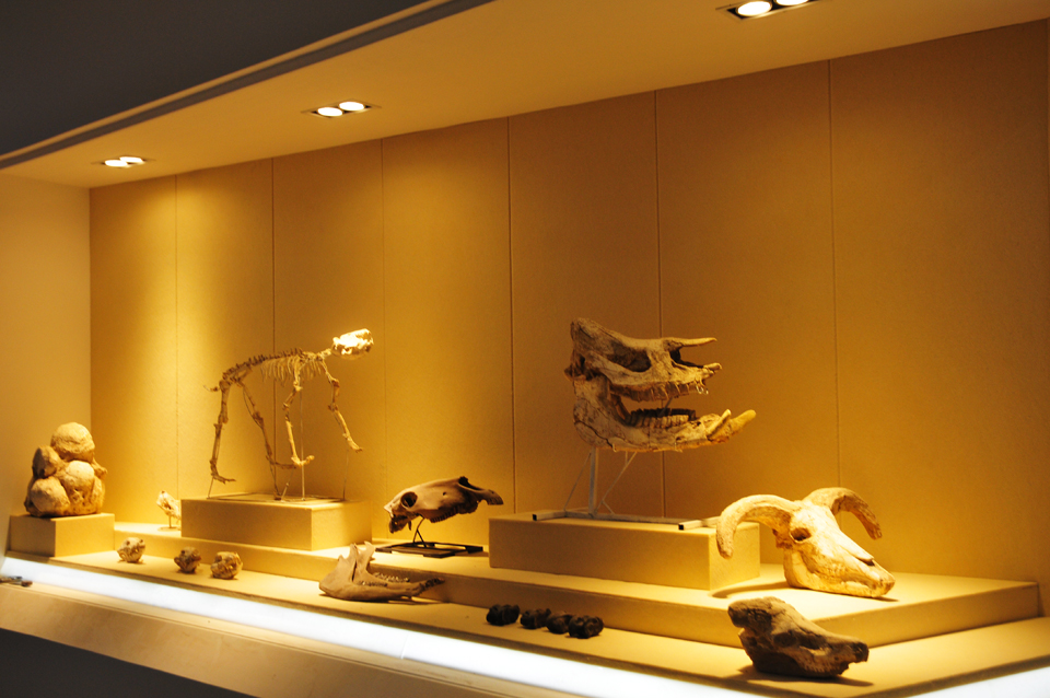 园博园内南通猛玛象娱乐城堡即将建成迎客 (8).jpg