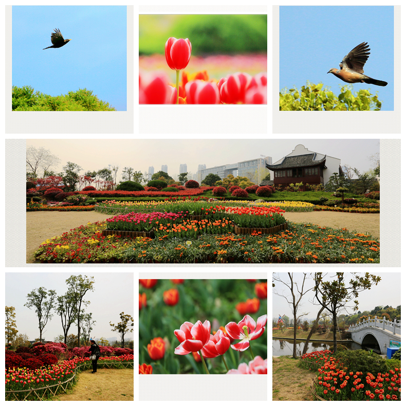 4F9A3720    966K.jpg