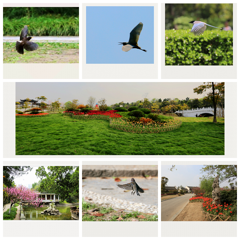 4F9A3720    853K.jpg