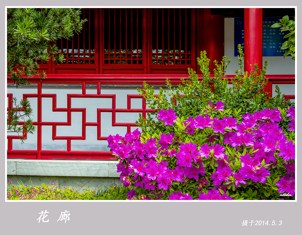 走进狼山 p12 .jpg