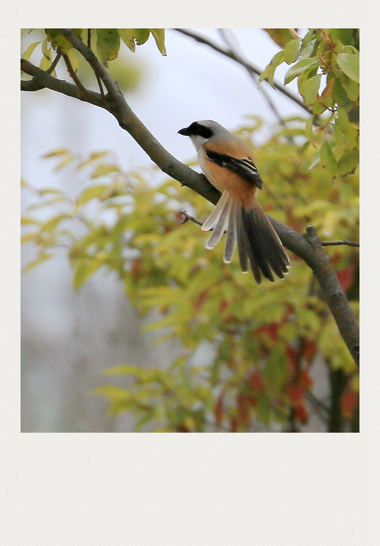 4F9A2342_ 1024... 838K.jpg