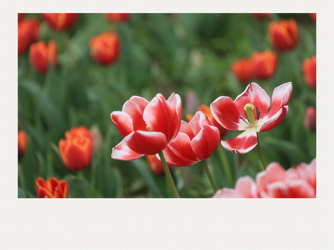 4F9A1792__ 1024...761K.jpg