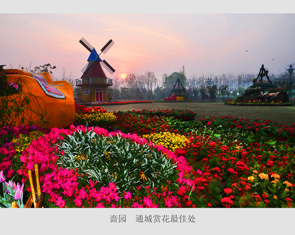 通城赏花最佳处 (2).jpg