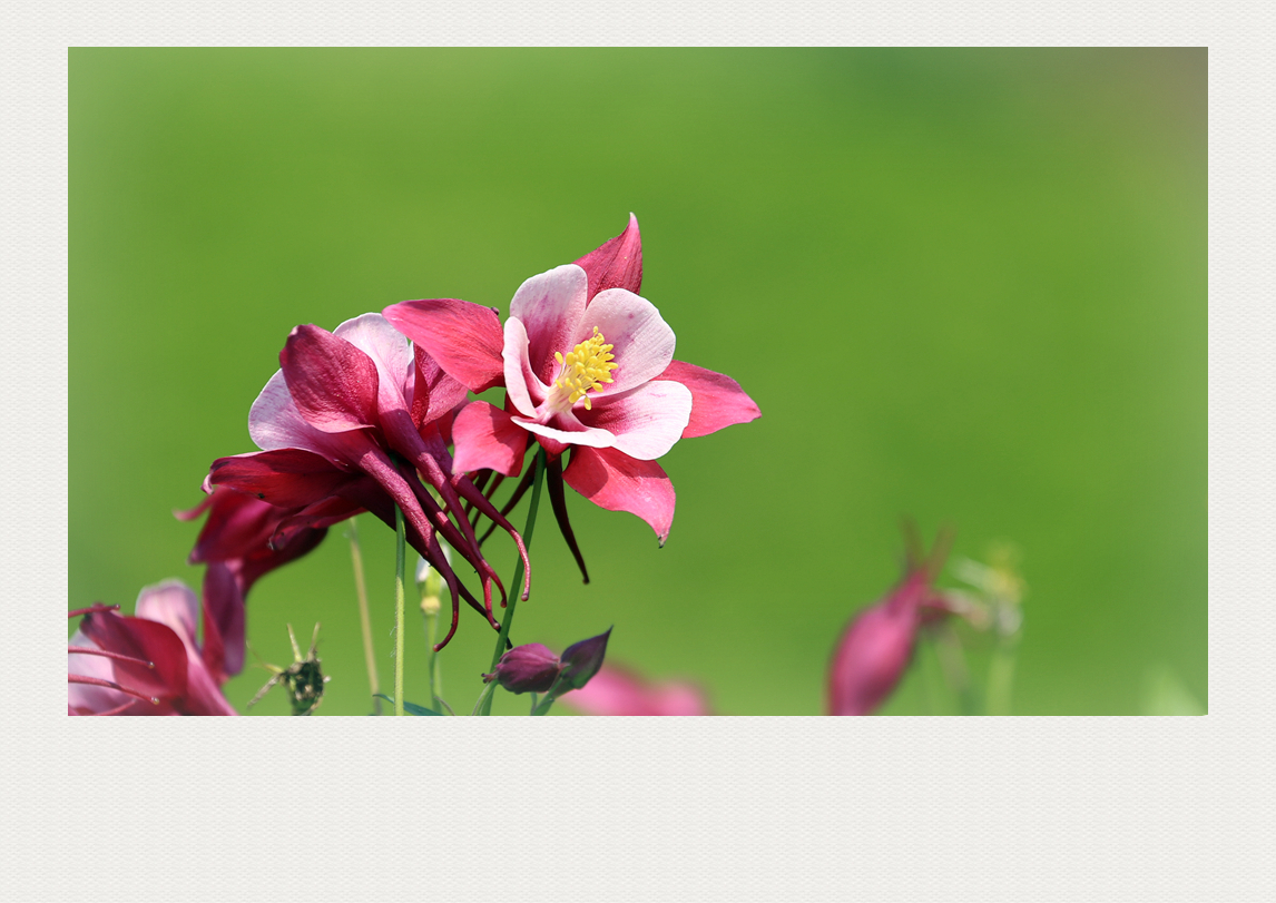 4F9A5445  1024__ 770K.jpg